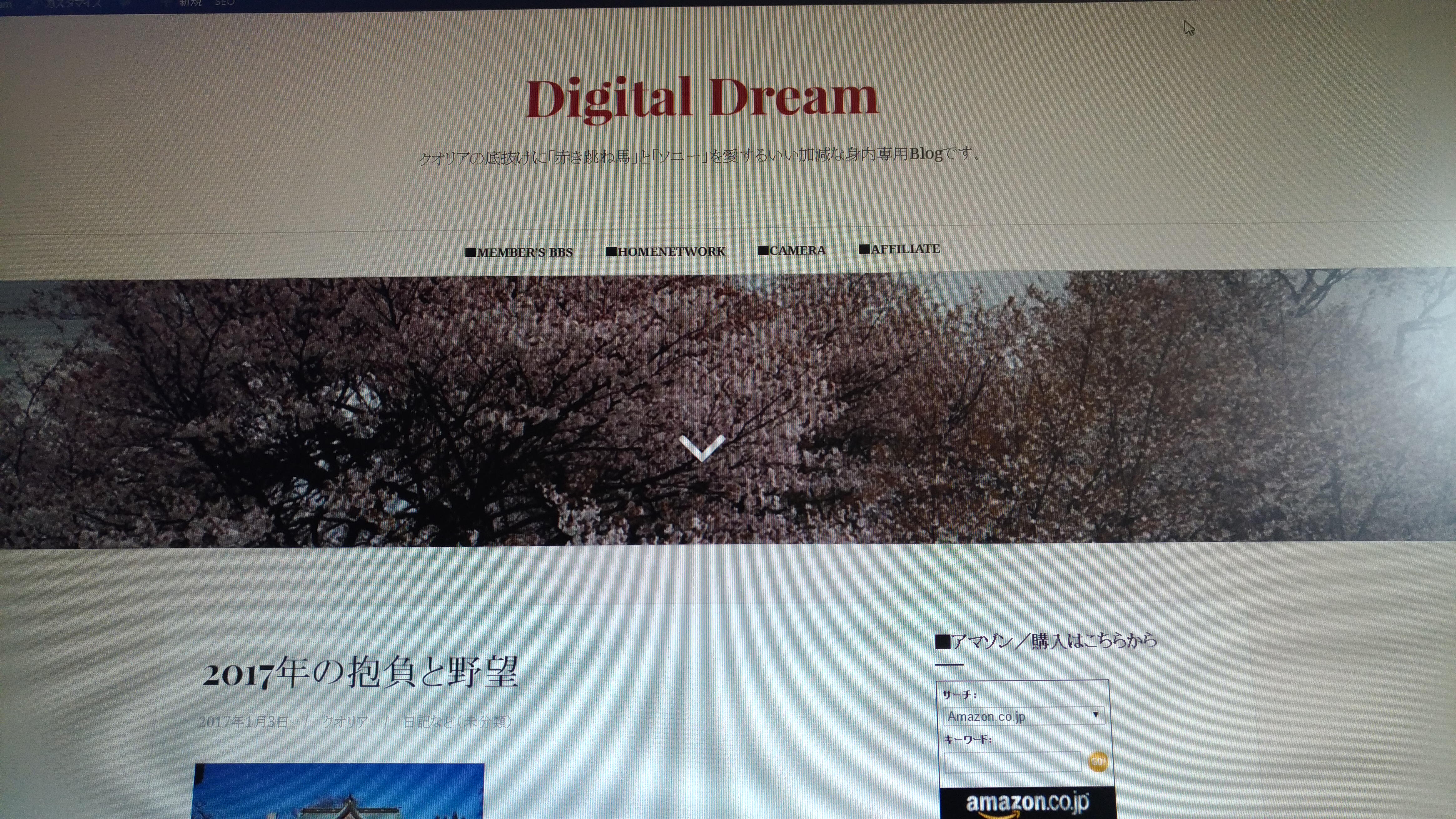 SEO（Search Engine Optimisation）