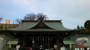 2013 あけおめことよろ